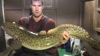 ICE Fishing For Giant Burbot [upl. by Retsehc]