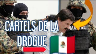 REPORTAGE CHOC  LES CARTELS DE DROGUE AU MEXIQUE [upl. by Trainer759]