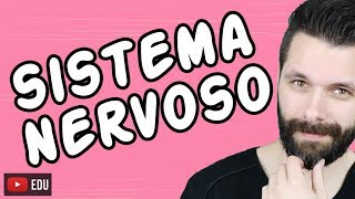 SISTEMA NERVOSO  FISIOLOGIA  Aula  Biologia com Samuel Cunha [upl. by Alby869]