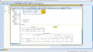 SPSS  Homogeneity Test [upl. by Idou]