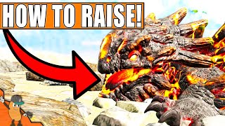 How To Raise amp Feed Magmasaur On Ark Lost Island UPDATED [upl. by Hannon]