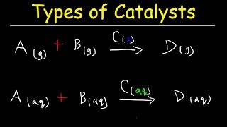 Homogeneous vs Heterogeneous Catalysts  Basic Introduction [upl. by Memory]