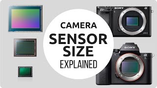 Camera Sensor Size Explained [upl. by Creath]