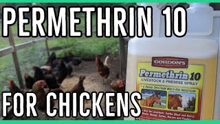 Permethrin 10 for Chickens Extermination of pestsll [upl. by Vevine615]