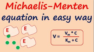 MichaelisMenten equation in easy way [upl. by Aivyls]