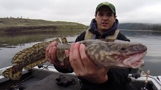 Fishing for Burbot in Washington [upl. by Huff]